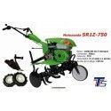 MOTOAZADA SR1Z-750 Kingarden